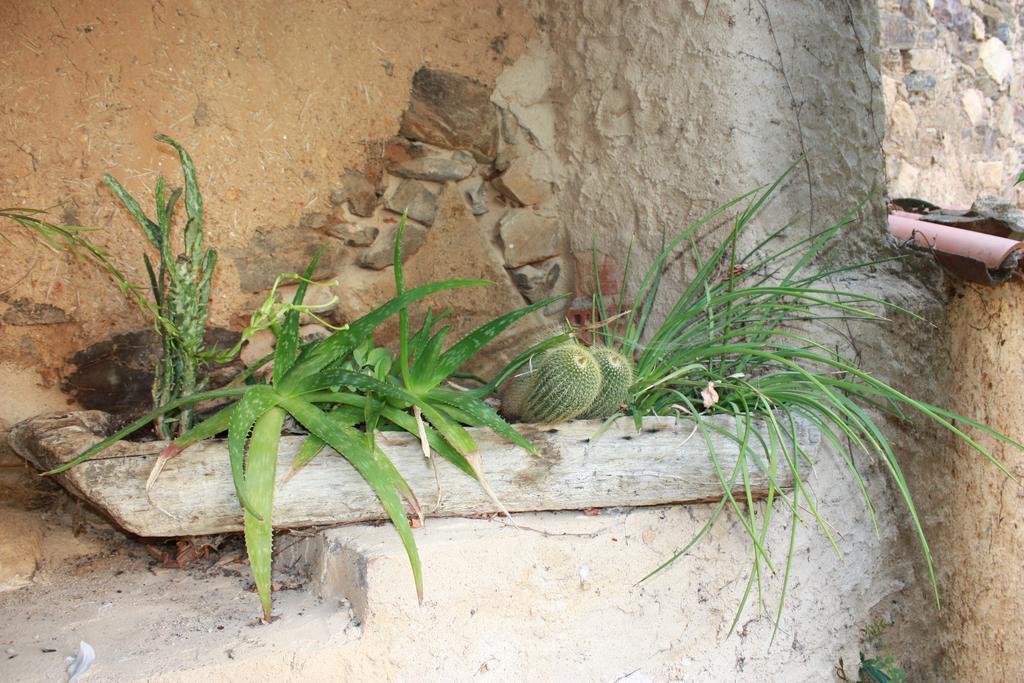 Country house Casas En Batuecas Villanueva del Conde
